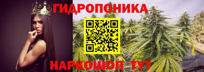 PSILOCYBIN Бугуруслан