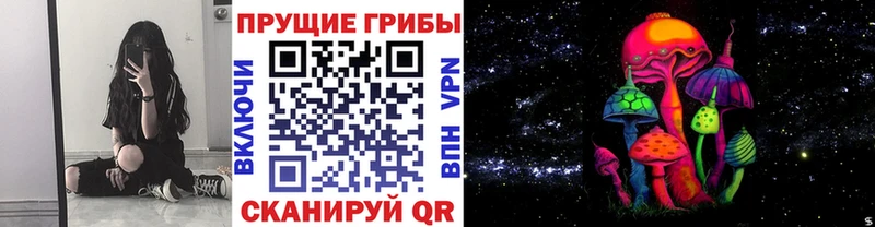 Галлюциногенные грибы Cubensis Владивосток