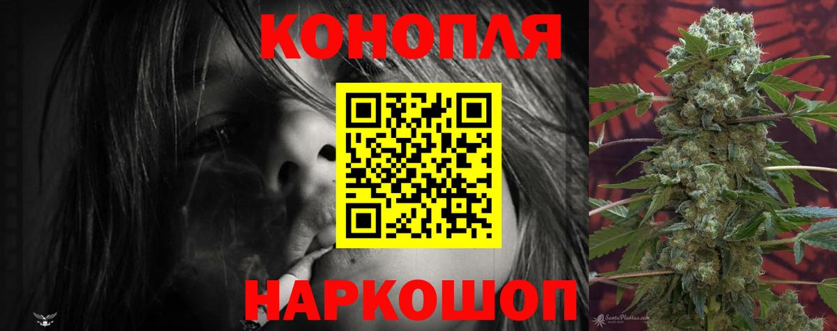 Бошки Шишки сатива Владивосток