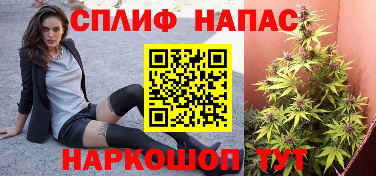 Бошки марихуана конопля Владивосток